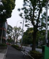 a530e423.jpg