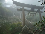 本殿
