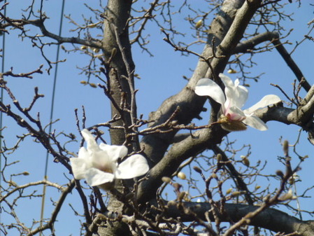 P1100360
