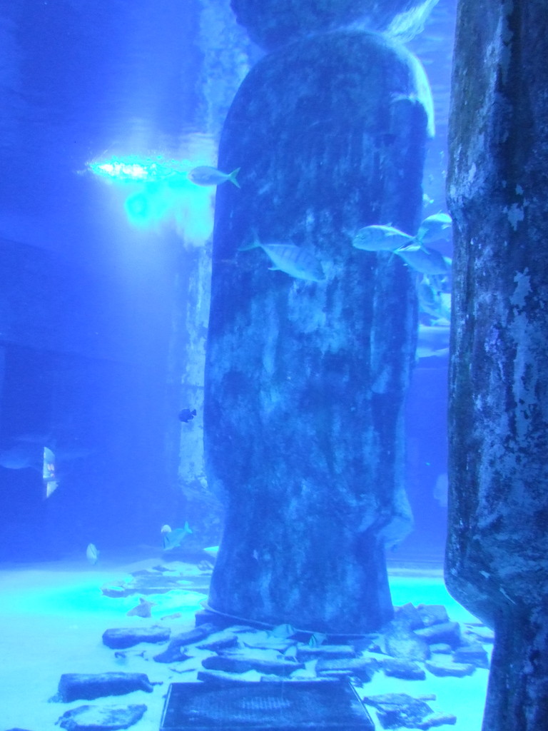 ﾛﾝﾄﾞﾝ名所満載の映画ﾊﾟﾃﾞｨﾝﾄﾝ2無料配信 Paddington2 10 17ﾏﾃﾞ ﾛﾝﾄﾞﾝ 穴場 ﾀﾀﾞｶﾞｲﾄﾞ写真編 London Photo Guide Blog Nemi