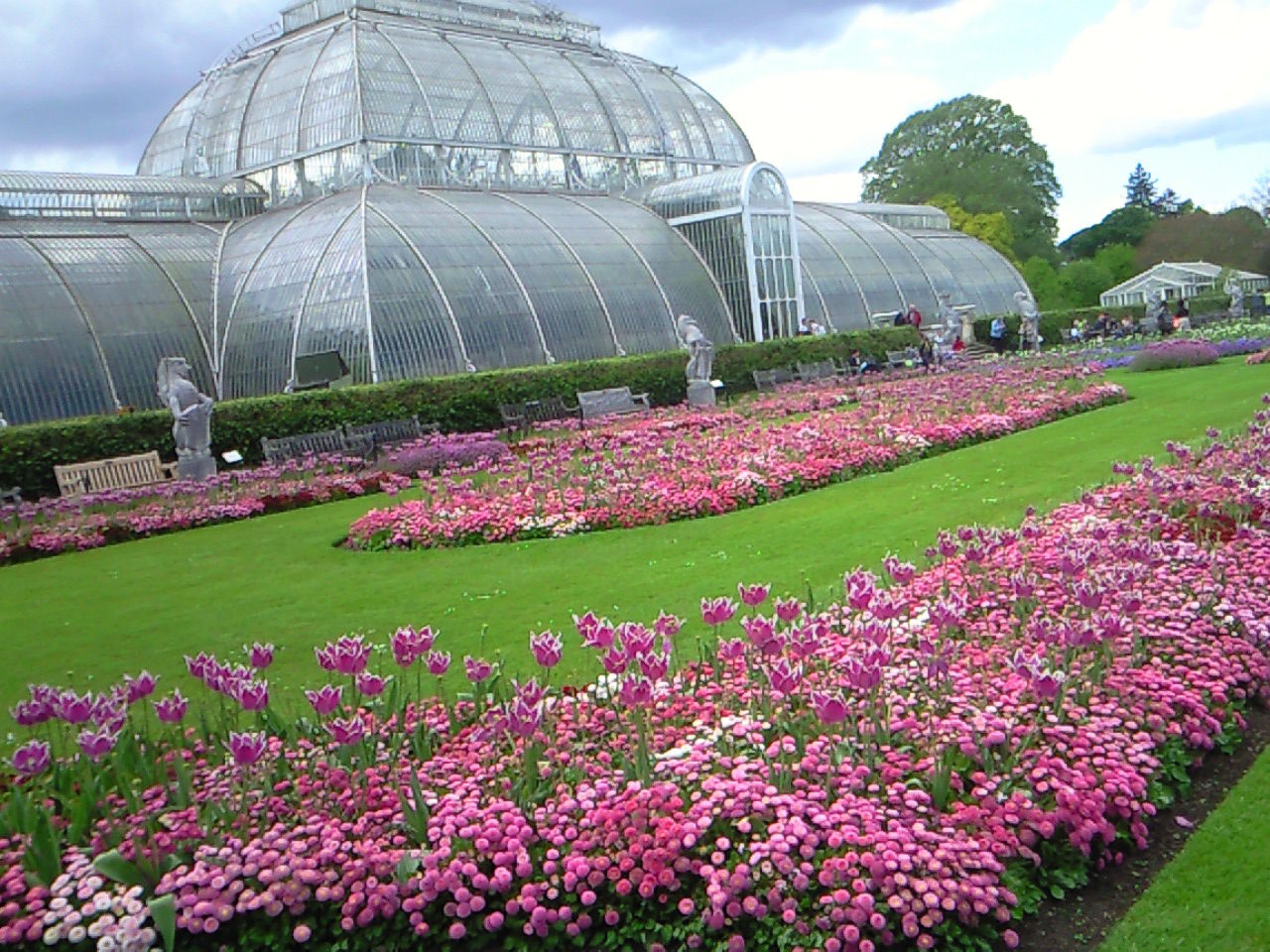 ロンドンの王立植物園 Kew Gardens ロックダウン後再オープン お家でキューガーデン ロンドン 穴場 タダガイド写真編 London Photo Guide Blog Nemi ロンドンの王立植物園 Kew Gardens ロックダウン後再オープン お家でキューガーデン ロンドン 穴場 タダガイド写真編 London Photo Guide Blog Nemi