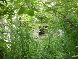 P1120130