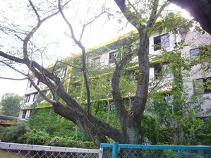 P1120123