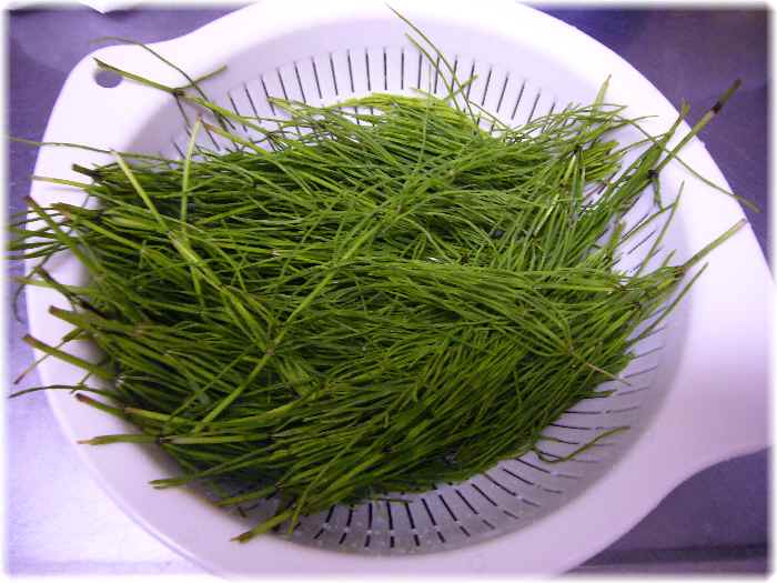 スギナ茶 美味しい料理大好き まりこの手帳