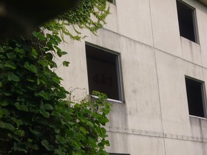 P1120128