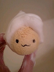 100620�ߤ�������������