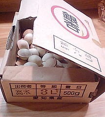 081114�������ɤˤơ�����ʤ�