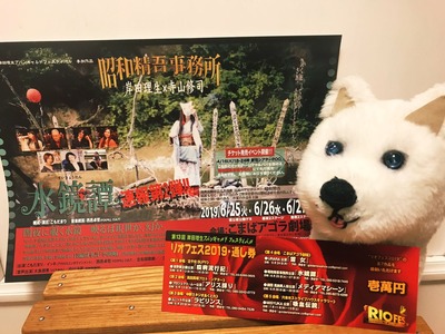 リオフェス2019チケットとシロ