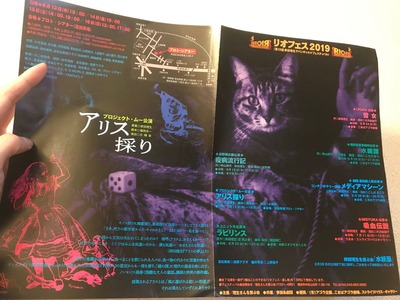 リオフェス2019チラシ1