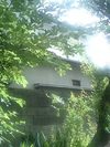 080814お天気雨