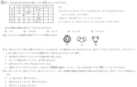 灘S63_5