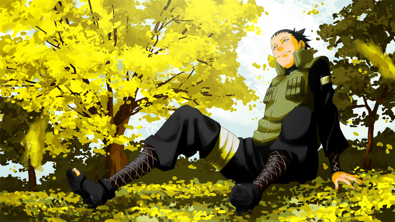 画像 かっこいいシカマル Naruto フリーク