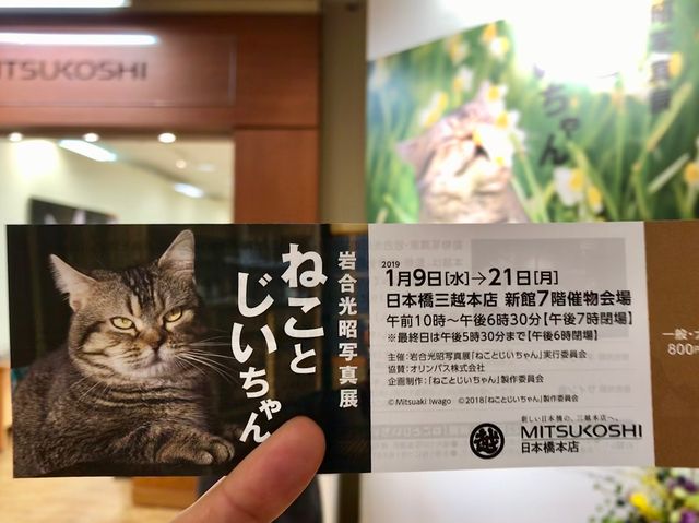 岩合光昭写真展 ねことじいちゃん 日本橋三越 まりひぇん日記 Marichen S ebuch