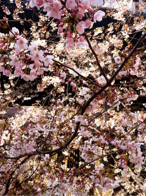 photo:02