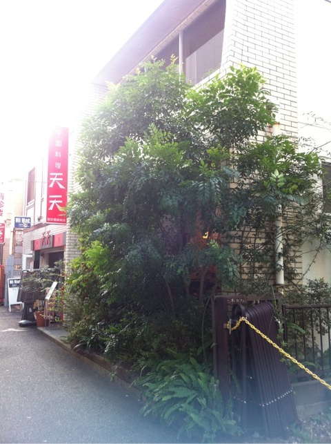 photo:07