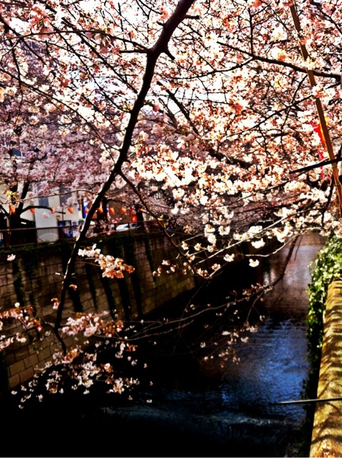 photo:01