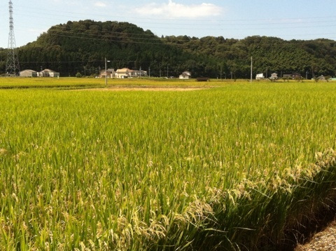 {98BE36C7-1716-49CB-8AA0-82B48CAB9BB9:01}