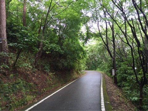 {76C1DC31-8571-447D-978D-E3BD1B82A849}