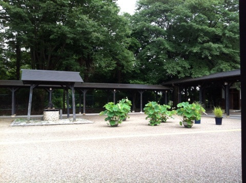 {1D67F653-7A51-4CB1-9A17-E067ADFD9805:01}