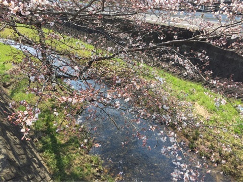 {50313A49-815D-4B4D-8A70-BDF564A3A79F}