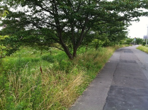 {70AFEFD4-B9F7-44F0-90BA-0F63C45D180E:01}