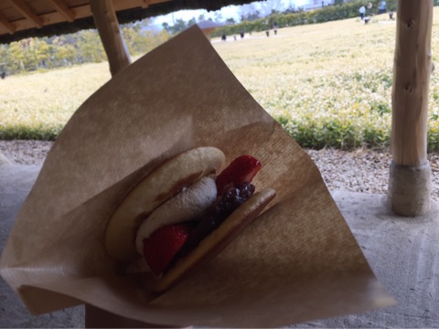 {8C004A59-214F-45EB-83D3-7312669AEAA7}