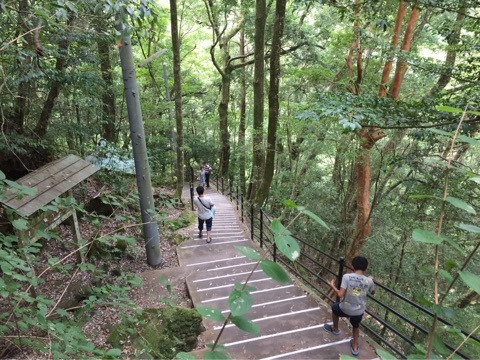 {A28CF91E-42F1-450C-99E7-37A32A22F7CA}