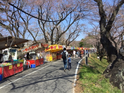 {6C3EE48B-256C-4A4A-BB85-6651E015B3A1}