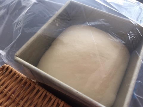 {14C8C428-2DAE-4424-B8B2-85B71339CF2C}