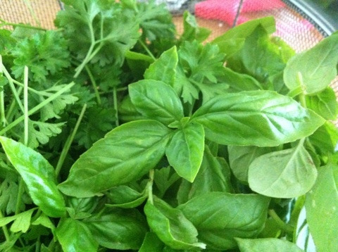 {FDD46BF8-8F35-431F-A503-E96706419AAC:01}