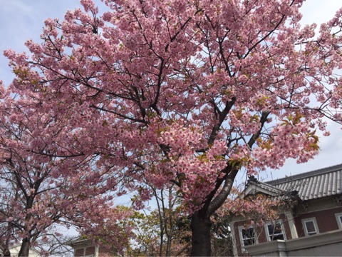 {E9AD4112-AC92-423F-A83A-6E4C34E532D4}