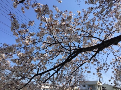 {32AA2CFB-857B-4C7F-8F8E-89727B7FA308}