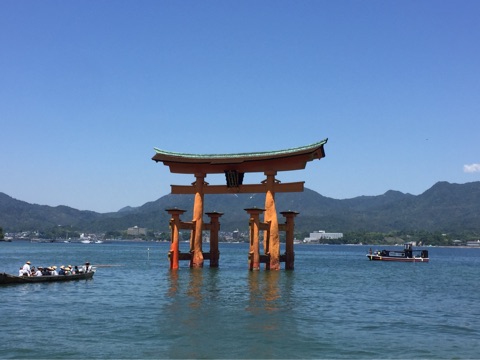 {377BB229-8ED2-4755-810D-C5F519BBC5E9}