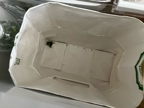 FullSizeRender