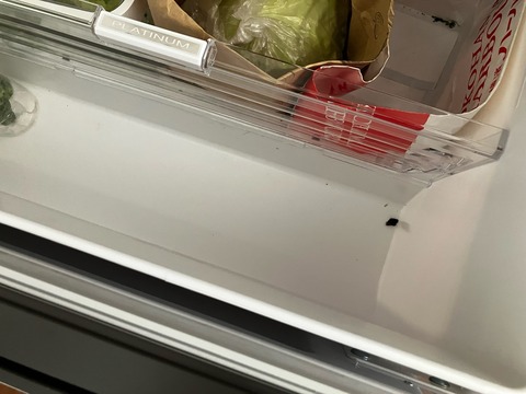 FullSizeRender