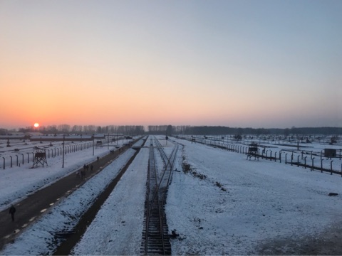 {FF7A8E51-95B2-4347-B896-928D7A05FA6E}