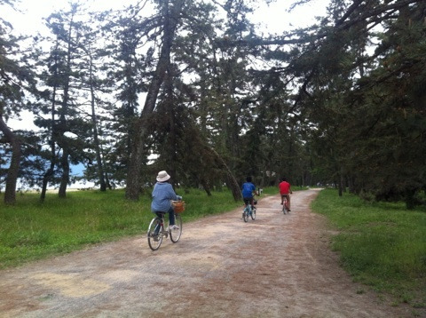 {1D156264-CB38-4D0B-B41B-CB5AEC35B152:01}