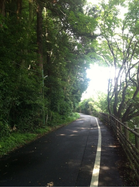 {8C822AD8-C506-43A3-BAA3-112599AC5292:01}