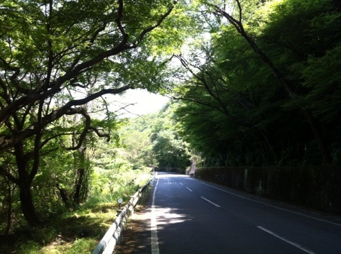 {378EAEBA-6D44-4691-9917-6B410ED630D7:01}