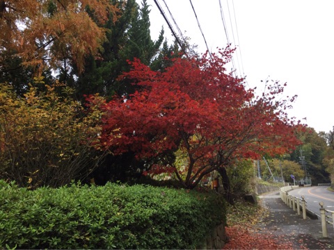 {62C55327-EFE4-4ADD-9310-BA9E28E9632C}