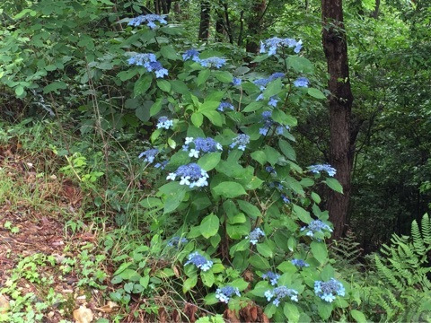 {2A9ABC59-07A5-4B16-9F9F-F8AAECE079F0}