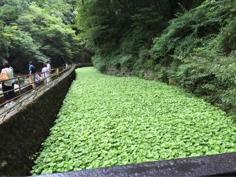 {2C182E1A-69DA-468E-BB90-9621646E1774}