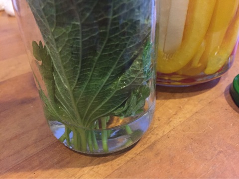 {438D6674-CBFC-40BF-B486-A80F2EA98C71}