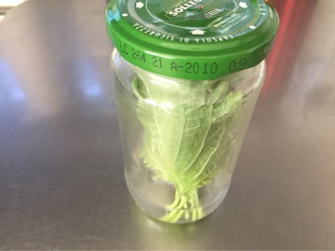 {CB04277D-01EF-4166-84D6-C3E9BA9FC14B}