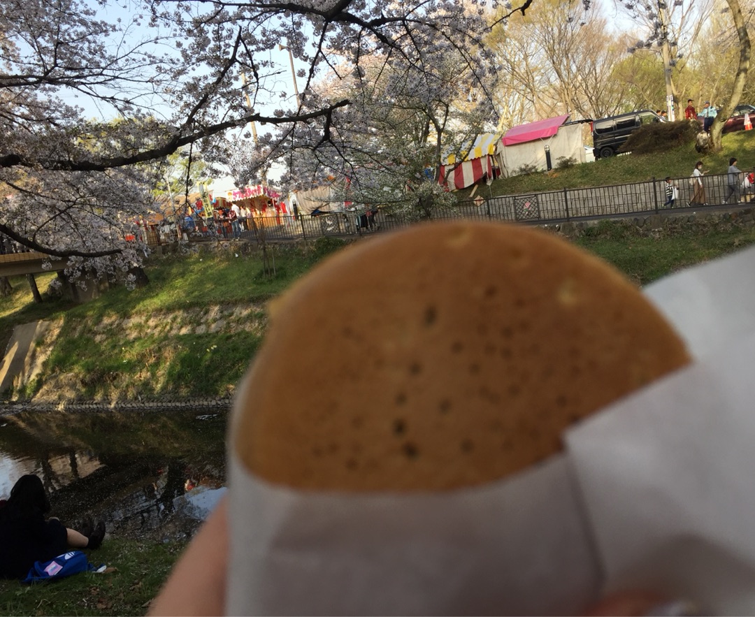 {80C867C1-12F3-4B3F-8F8A-758D93A293FE}