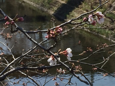 {373752A6-84F6-4231-AEE7-FB028B46C581}