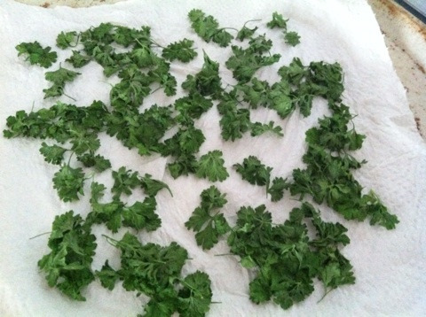 {2DF96474-A480-497F-890E-BB7EA0D44A59:01}