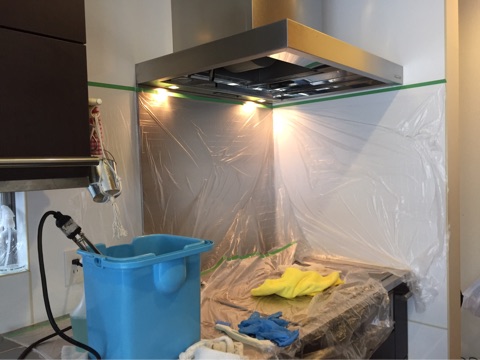 {B9E1D4F0-95CF-493A-9C27-4C00030F293F}