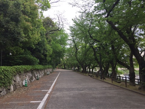 {371CD8A0-DE58-430E-8DE4-D6BBDB0705F8}