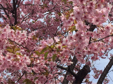 {AA5985A6-3AE8-4A8A-8DC2-7428CB1549AC}